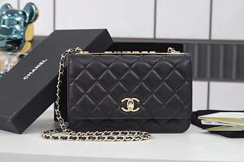 Chanel Woc Chain Bag