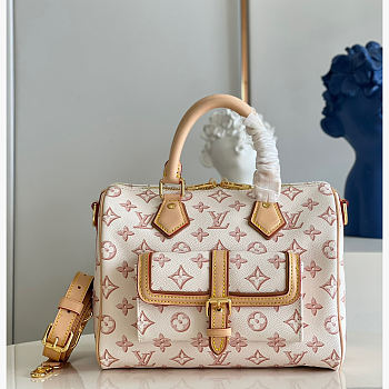 Louis Vuitton Speedy 25 M20919