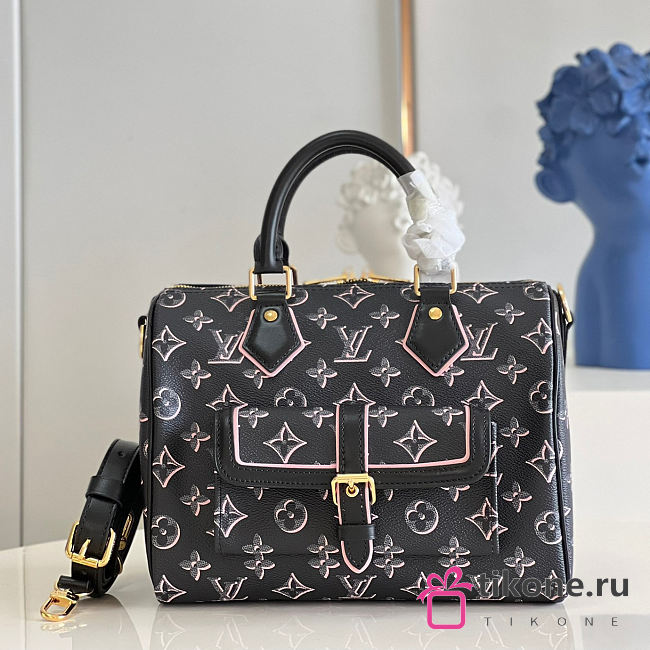 Louis Vuitton Speedy 25 M20852 - 1