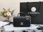 Chanel Flap Bag Lambskin With Mini Charm Size 20 - 1