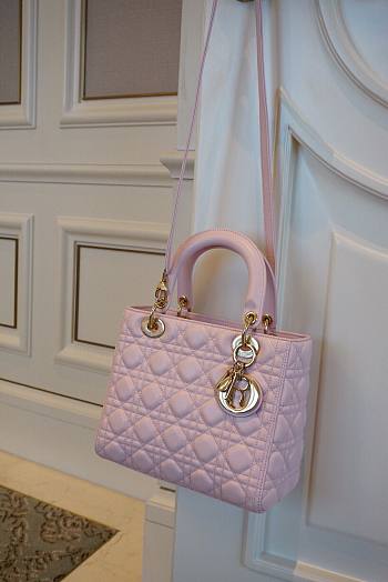 Dior Lady MyABCDior Bag Powder Pink 24cm