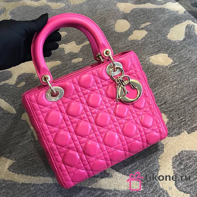 Dior Lady Bag Pink - 24cm  - 1