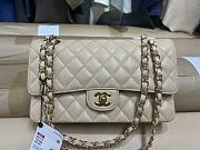 Chanel Classic Caviar Medium Apricot Color Size 25cm - 1