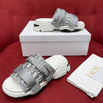 Dior Slides Grey 01