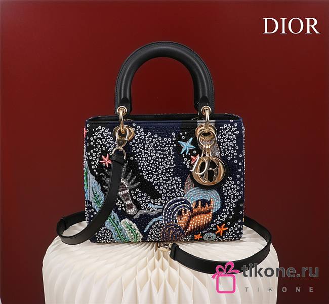 Christian Dior Navy Leather - 24x20x11cm - 1