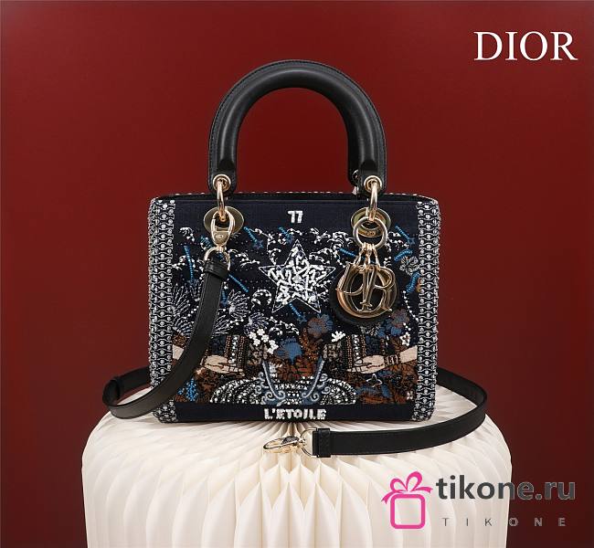 Dior Custom Bag 03 - 24x20x11cm - 1