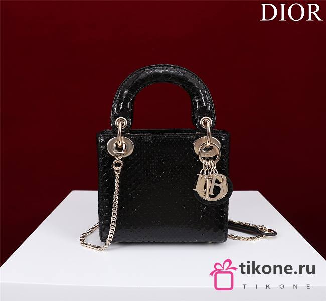 Christian Lady Dior Exotic Black - 17x15x7cm - 1