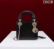 Christian Lady Dior Exotic Black - 17x15x7cm - 1