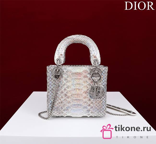 Christian Lady Dior 02 - 17x15x7cm - 1