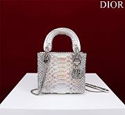 Christian Lady Dior 02 - 17x15x7cm - 1