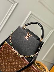 LV Capucines 7565 - 1