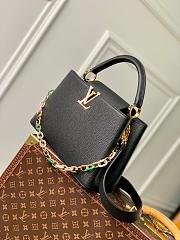 LV Capucines 7565 - 3