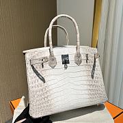 Hermes Himalayan Birkin 30 Silver - 5