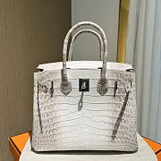 Hermes Himalayan Birkin 30 Silver - 3