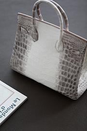 Hermes Birkin 30 Himalaya Blanc White Niloticus Mat Matte Palladium Hardware - 3