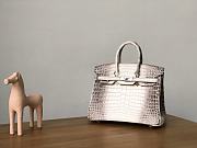 Hermes Himalayan Birkin 01 25 - 1