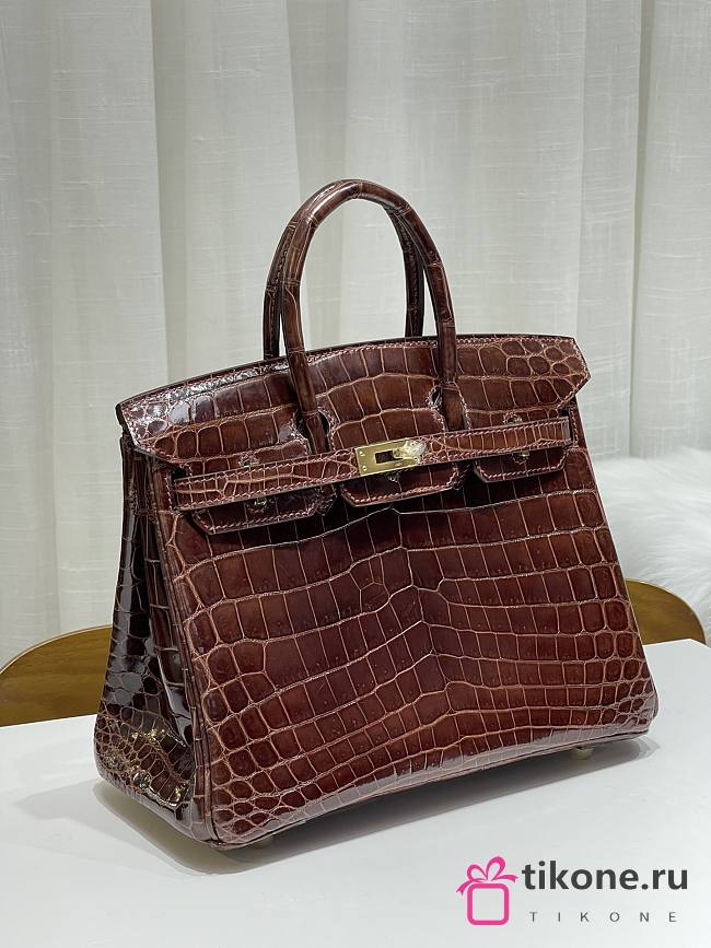 Hermès Shiny Miel Porosus Crocodile Birkin 25 - 1