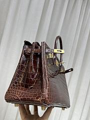 Hermès Shiny Miel Porosus Crocodile Birkin 25 - 3