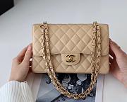 Chanel 25 Beige Jumbo Caviar Bag With Gold Hardware  - 4