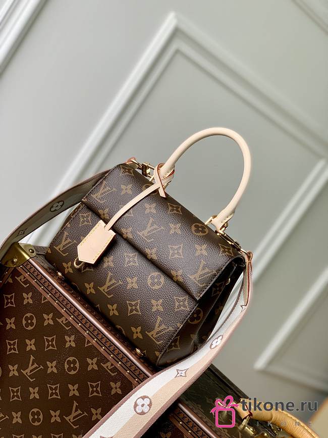 Louis Vuitton LV Cluny BB Monogram -20x16x7.5cm - 1