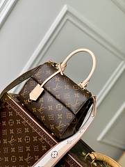 Louis Vuitton LV Cluny BB Monogram -20x16x7.5cm - 1