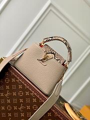 LV Mini Cappucines BB Python M80741 - 21x14x8cm - 1