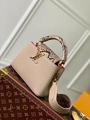 LV Mini Cappucines BB Python M80741 - 21x14x8cm - 5