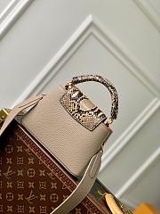 LV Mini Cappucines BB Python M80741 - 21x14x8cm - 2