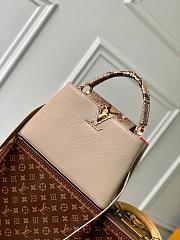 LV Larger Cappucines BB Python M80741 - 31.5x20x11cm - 1