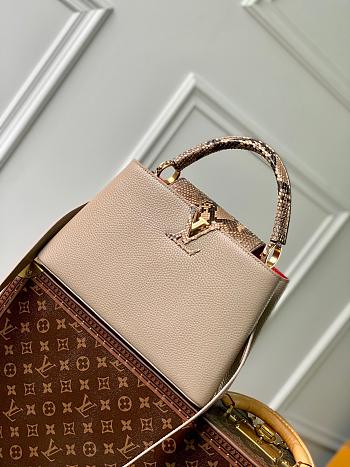 LV Larger Cappucines BB Python M80741 - 31.5x20x11cm