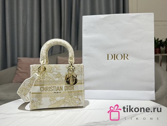 Dior Lady Dior Jardin d'Hiver In Beige Stripes Embroidery - 1