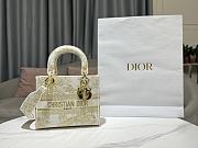 Dior Lady Dior Jardin d'Hiver In Beige Stripes Embroidery - 1