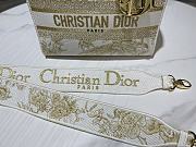 Dior Lady Dior Jardin d'Hiver In Beige Stripes Embroidery - 4