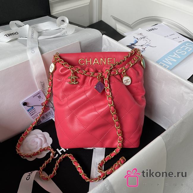 Chanel Small Pink Bucket Bag Lambskin - 17x16x7cm - 1