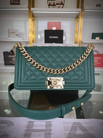 Chanel Leboy Green - 25x15x8cm 