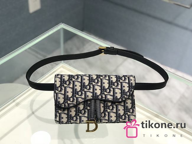 Dior Saddle Belt Bag - 17x10x3.5cm - 1