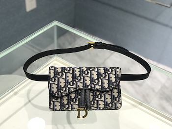 Dior Saddle Belt Bag - 17x10x3.5cm