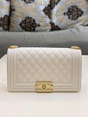 Chanel Leboy White in Gold Hardware - 25x15x9cm - 1