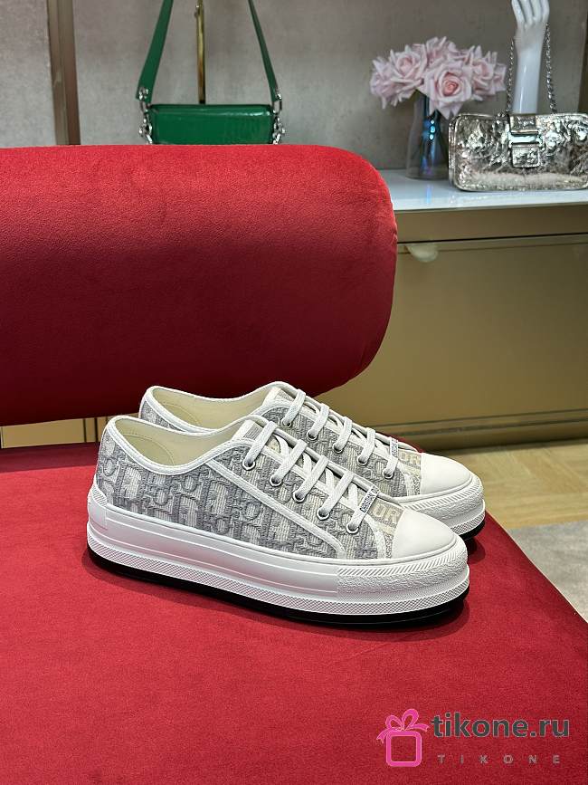 Dior Walk'n'Dior Sneaker With Grey Pattern - 1