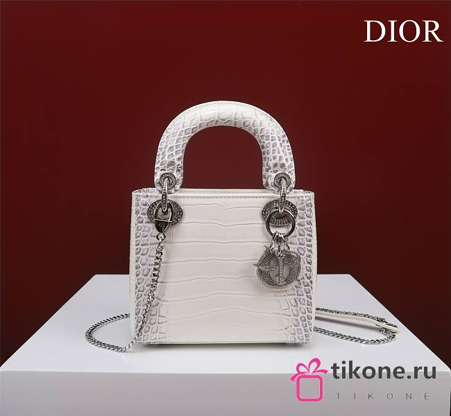 Dior Lady Himalayan With Silver Hardware - 17x15x7cm - 1