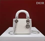 Dior Lady Himalayan With Silver Hardware - 17x15x7cm - 1