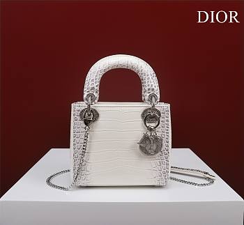 Mini Lady Dior Bag Himalayan With Silver Hardware - 17x15x7cm