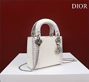 Dior Lady Himalayan With Silver Hardware - 17x15x7cm - 2