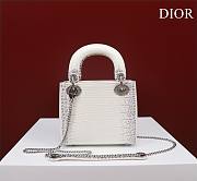 Dior Lady Himalayan With Silver Hardware - 17x15x7cm - 3