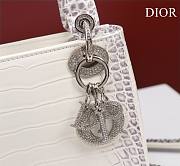 Dior Lady Himalayan With Silver Hardware - 17x15x7cm - 5