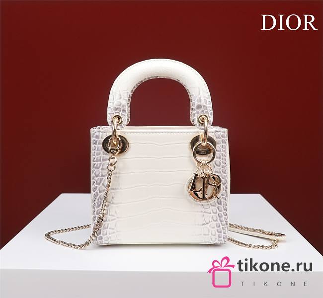 Dior Lady Himalayan With Gold Hardware - 17x15x7cm - 1