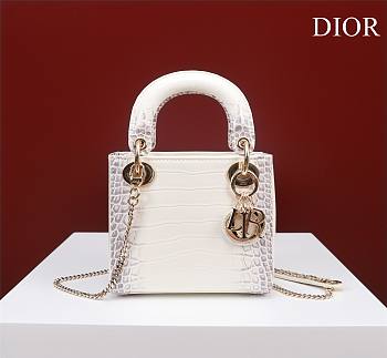 Mini Lady Dior Bag Himalayan With Gold Hardware - 17x15x7cm