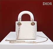 Dior Lady Himalayan With Gold Hardware - 17x15x7cm - 3