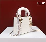 Dior Lady Himalayan With Gold Hardware - 17x15x7cm - 4