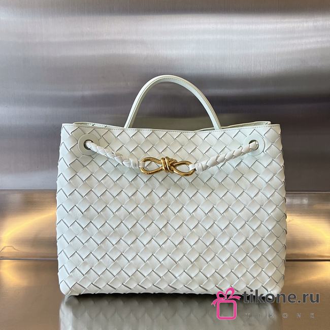 Bottega Veneta Large Andiamo A651259 - 32.5x24x12cm - 1